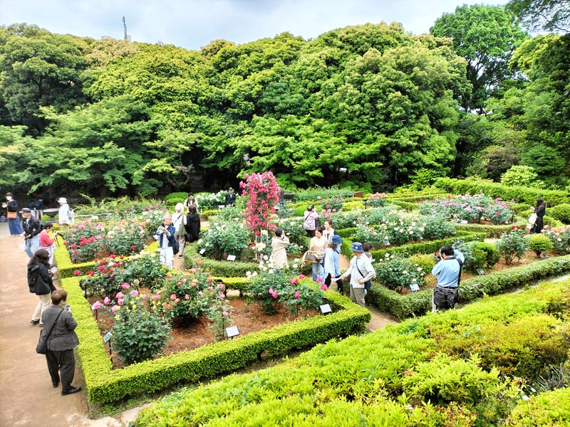 画像の説明