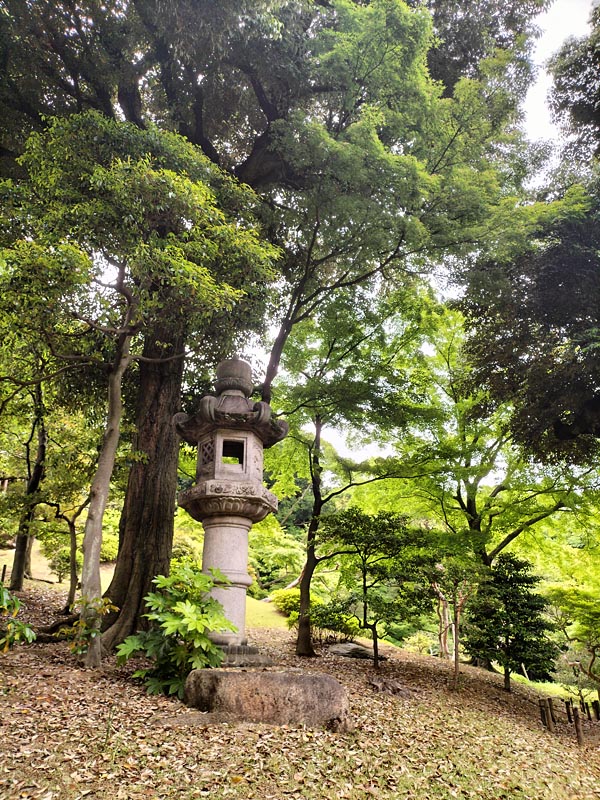 画像の説明