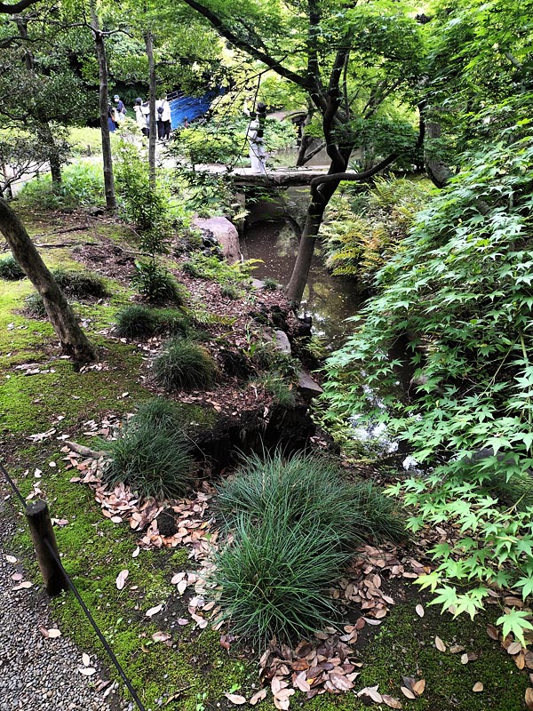 画像の説明